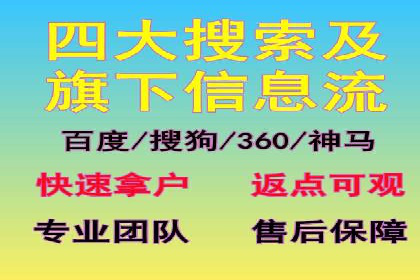 SEM托管公司案例分析：实战技巧全解析
